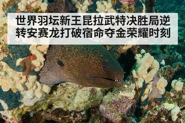 世界羽坛新王昆拉武特决胜局逆转安赛龙打破宿命夺金荣耀时刻